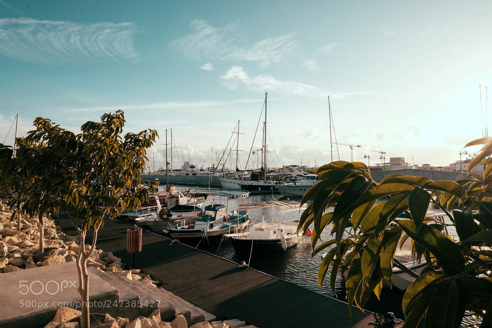 Fujifilm X-T20 sample photo. Le petit croissant photography