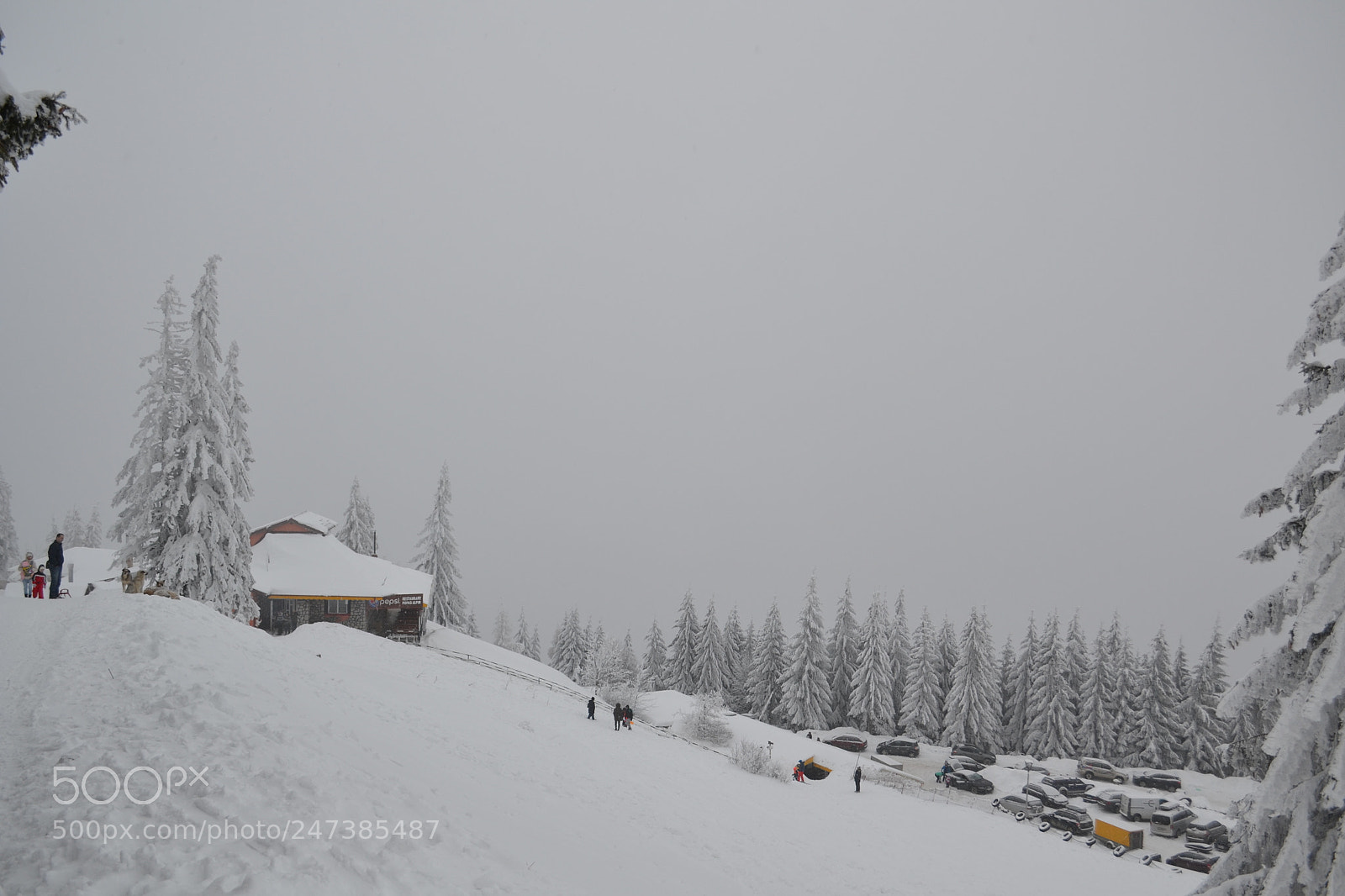 Nikon D3100 sample photo. Sinaia, romania photography