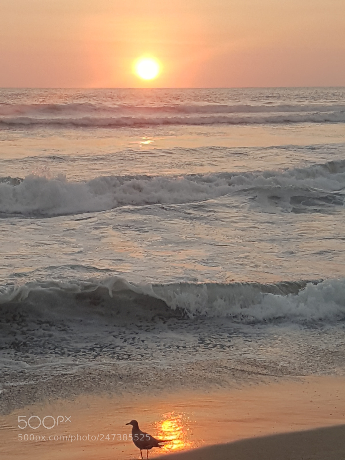 Samsung Galaxy S7 Edge sample photo. Sunset feb.2018 photography