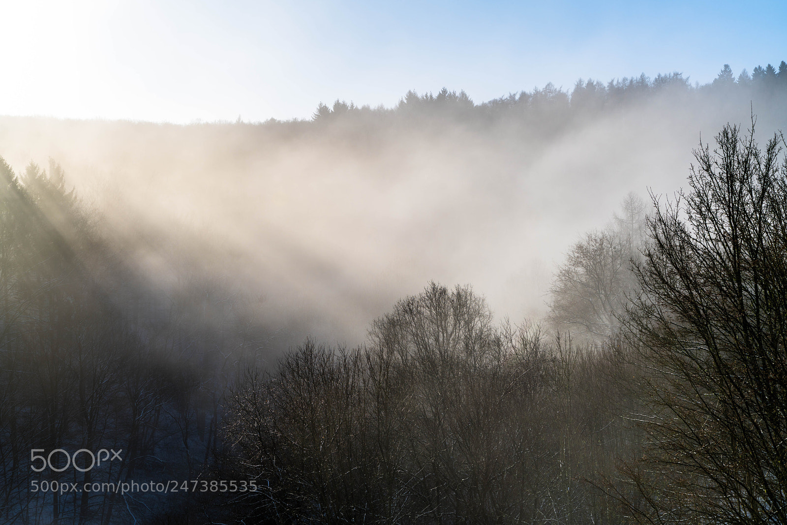 Sony a7R III sample photo. Misty morning photography