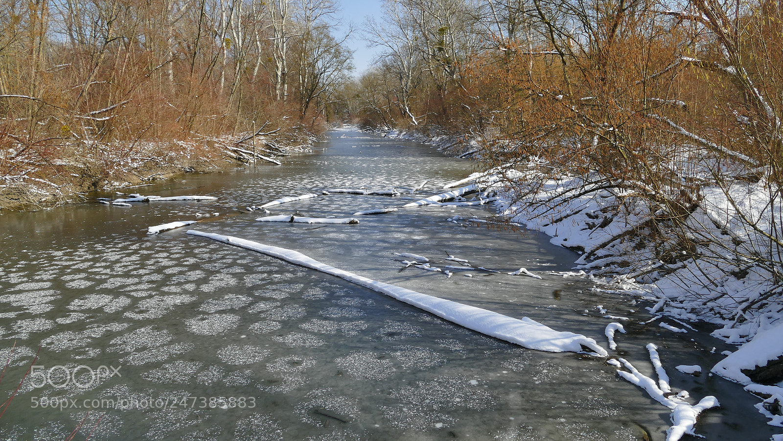 Panasonic Lumix DMC-FZ1000 sample photo. Winter auwald an der photography