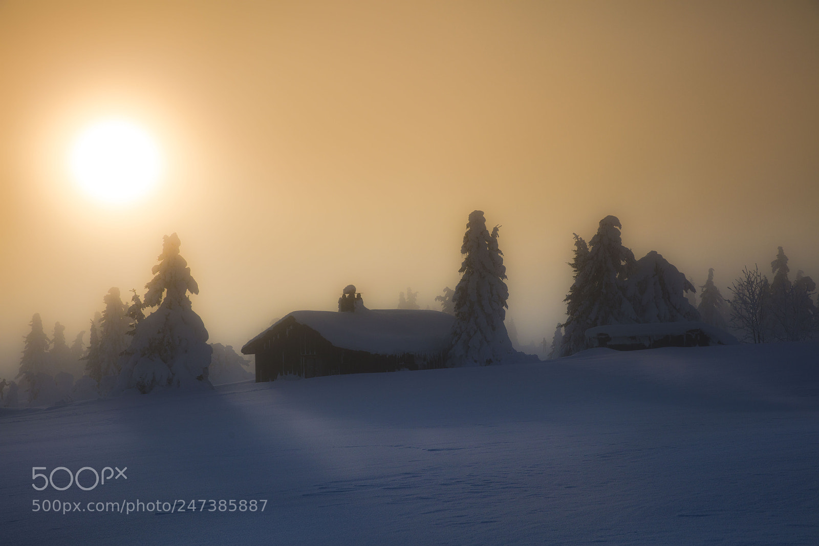Canon EOS 5DS sample photo. Misty evening light photography