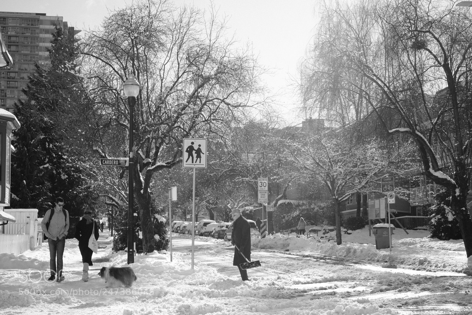 Fujifilm X-Pro2 sample photo. Vancouver snow day photography