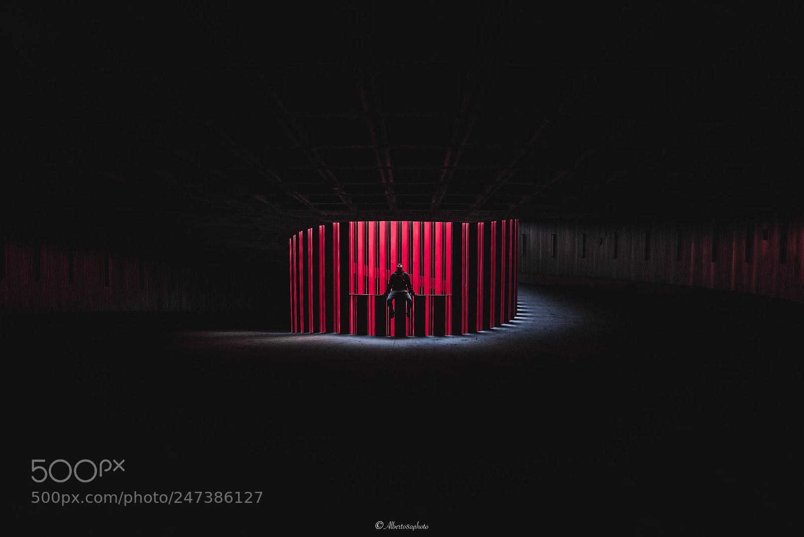 Nikon D610 sample photo. Red photography
