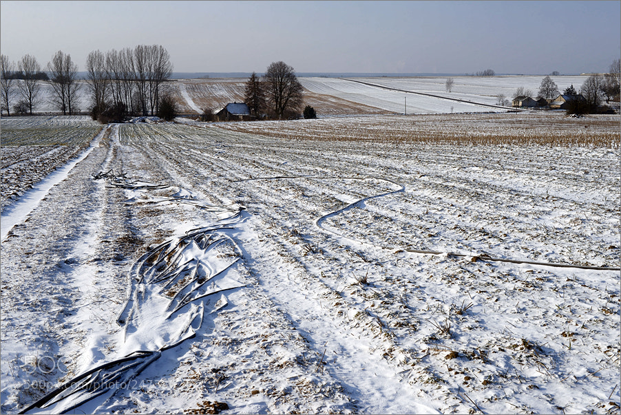 Nikon D610 sample photo. Neighbors photography