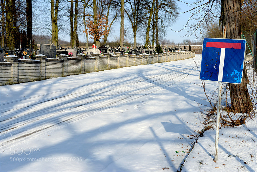 Nikon D610 sample photo. White dead end photography