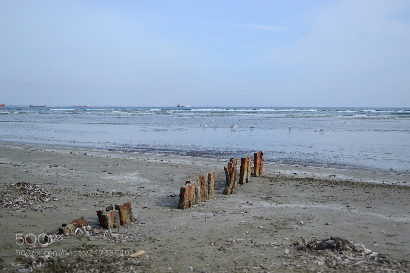 Nikon D3100 sample photo. Installation on the beach photography