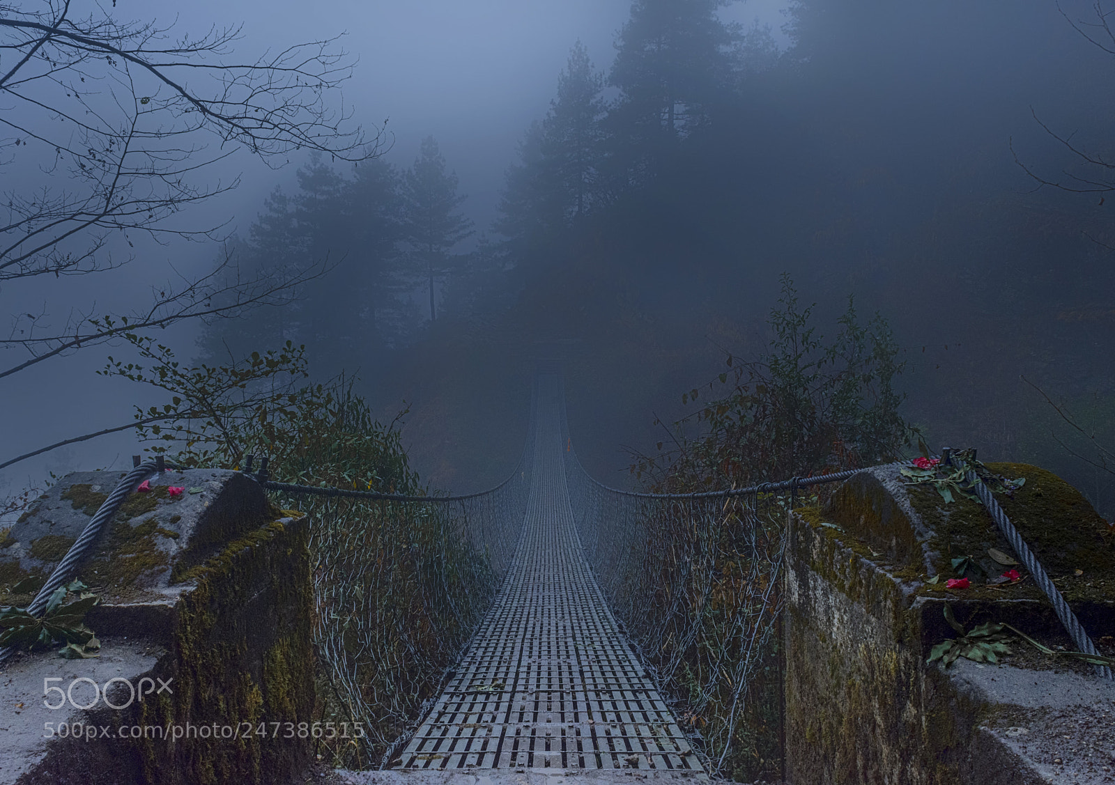 Nikon D7200 sample photo. The mystery bridge in photography
