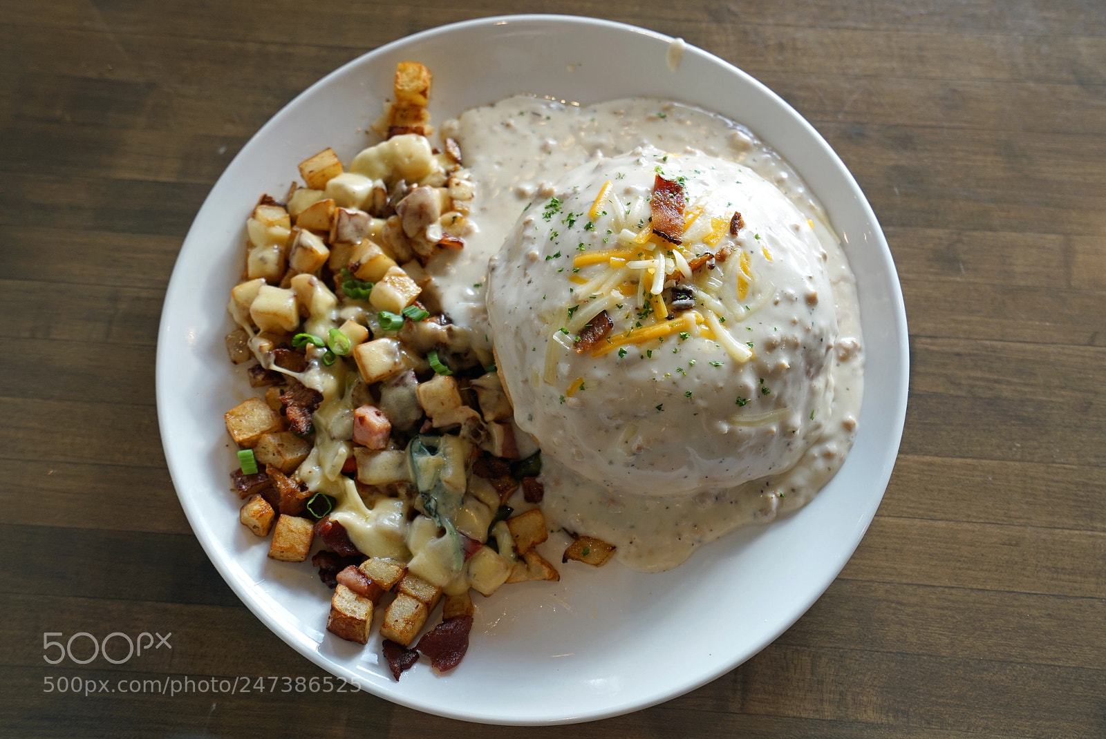 Sony a7R II sample photo. Stuffed biscuit photography