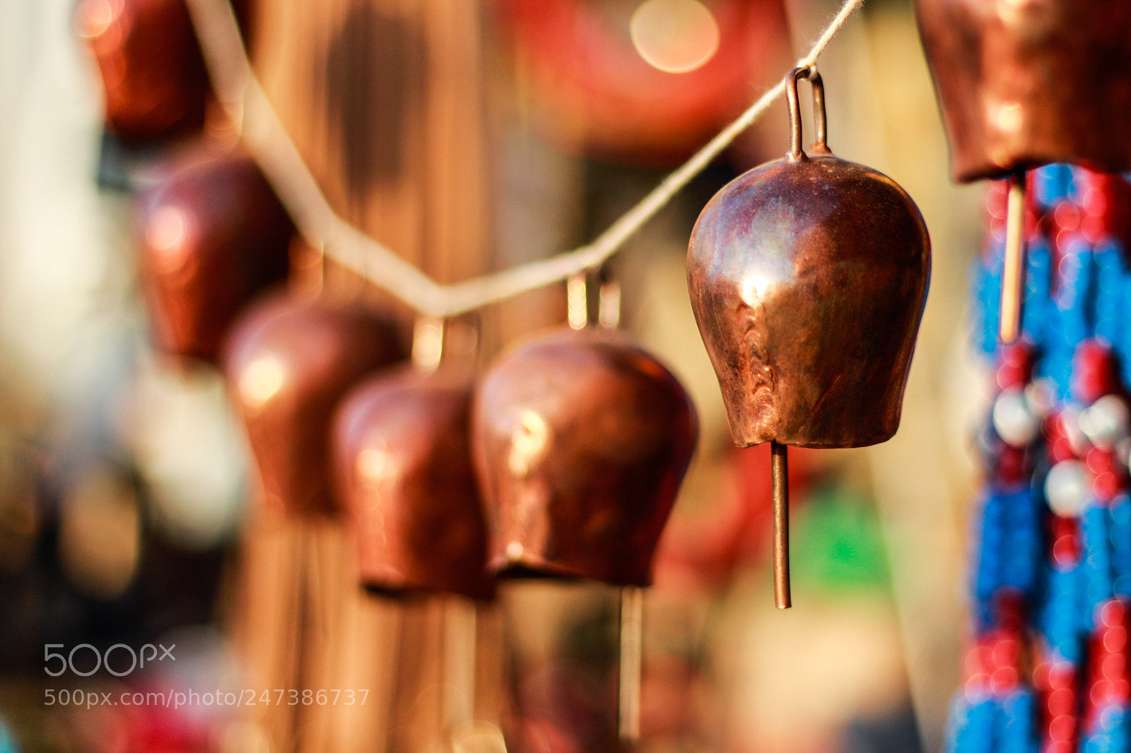 Canon EOS 650D (EOS Rebel T4i / EOS Kiss X6i) sample photo. Bell photography