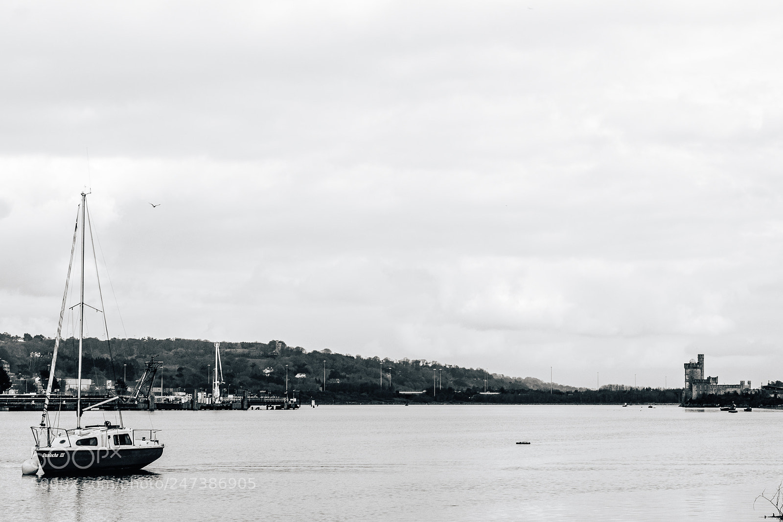 Panasonic Lumix DMC-GH4 sample photo. Marina life photography