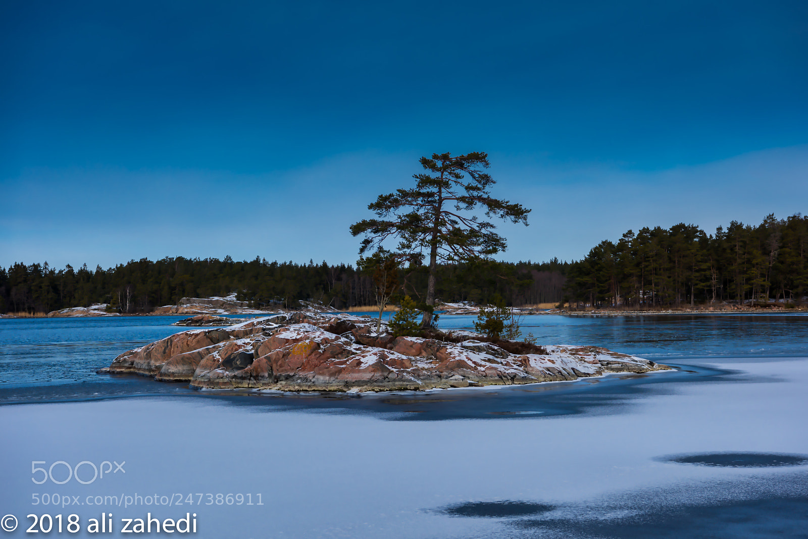 Nikon D810 sample photo. Stendor photography