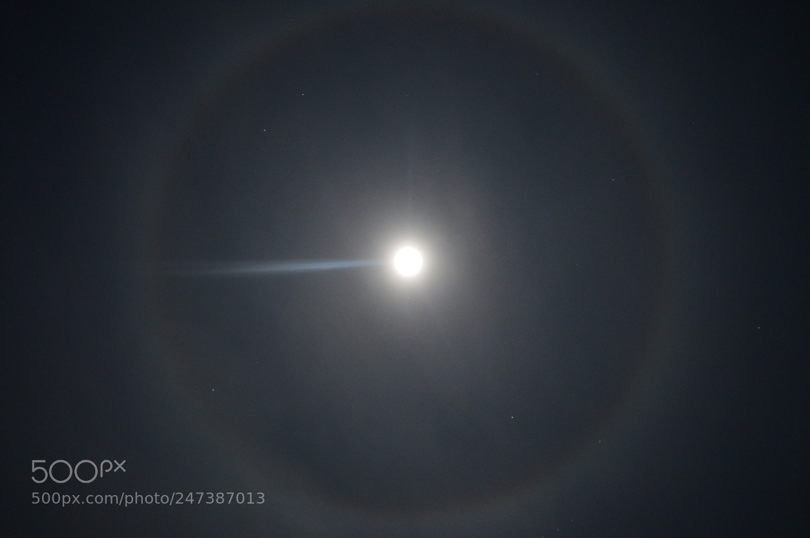 Nikon D3200 sample photo. Halo photography