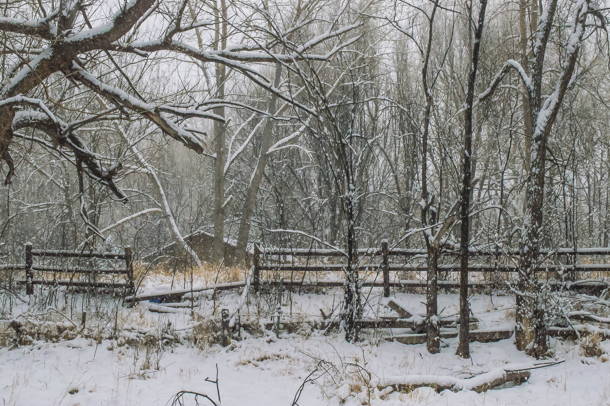 Olympus XZ-1 sample photo. Landscape - winter snow #3 photography