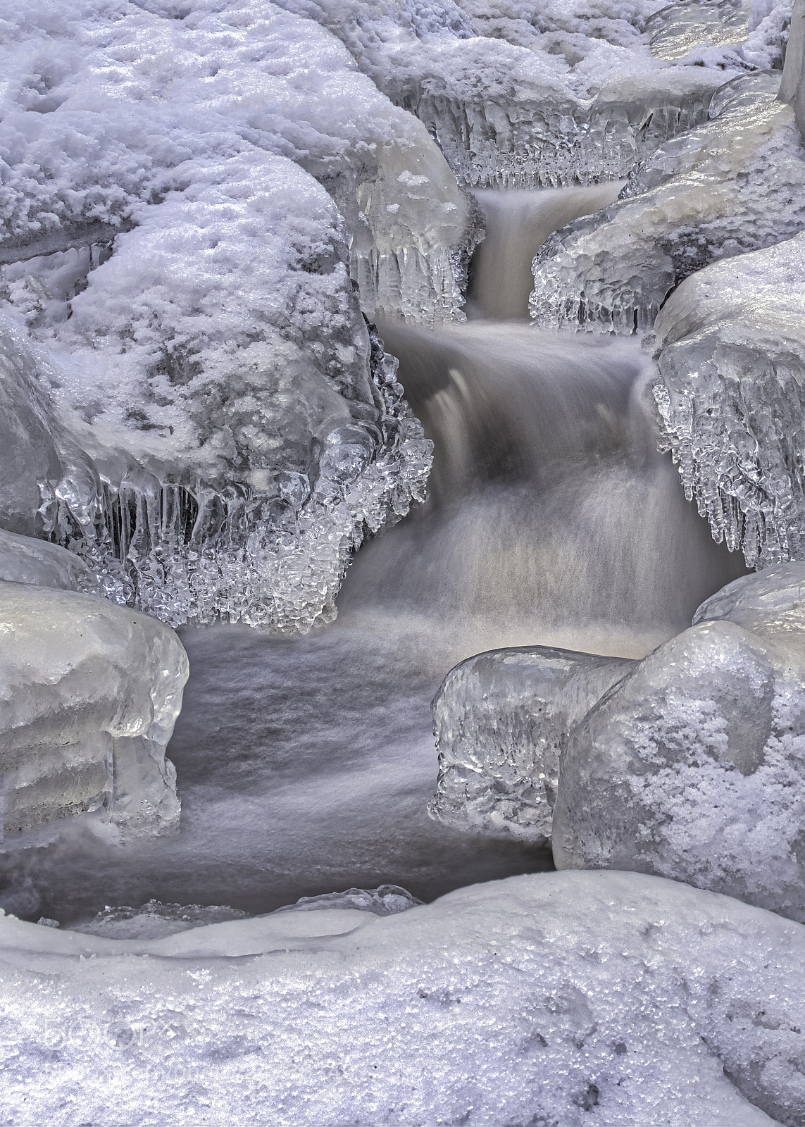 Fujifilm X-T20 sample photo. Nature's own artwork! photography