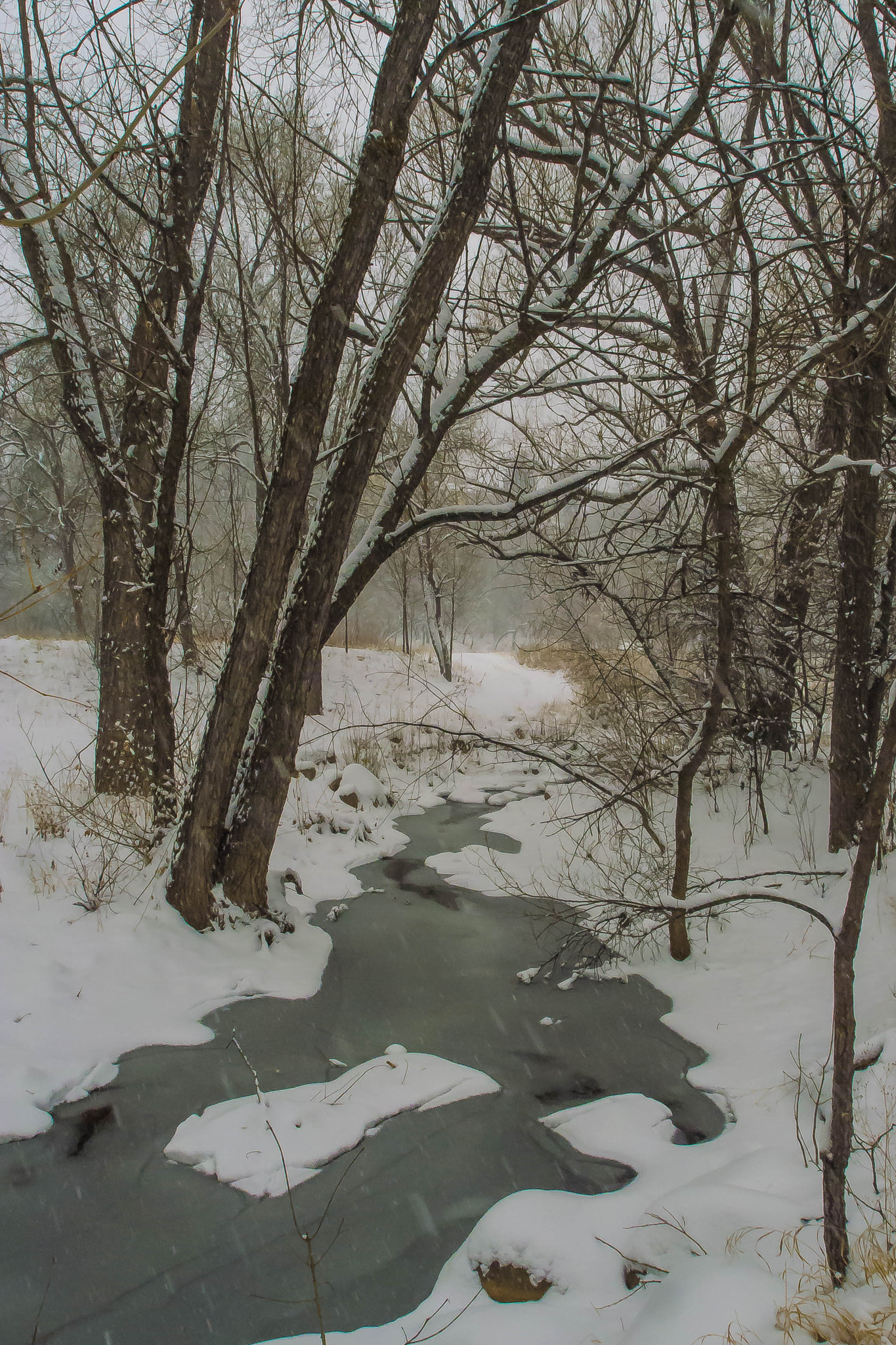 Olympus XZ-1 sample photo. Landscape - winter snow #2 photography