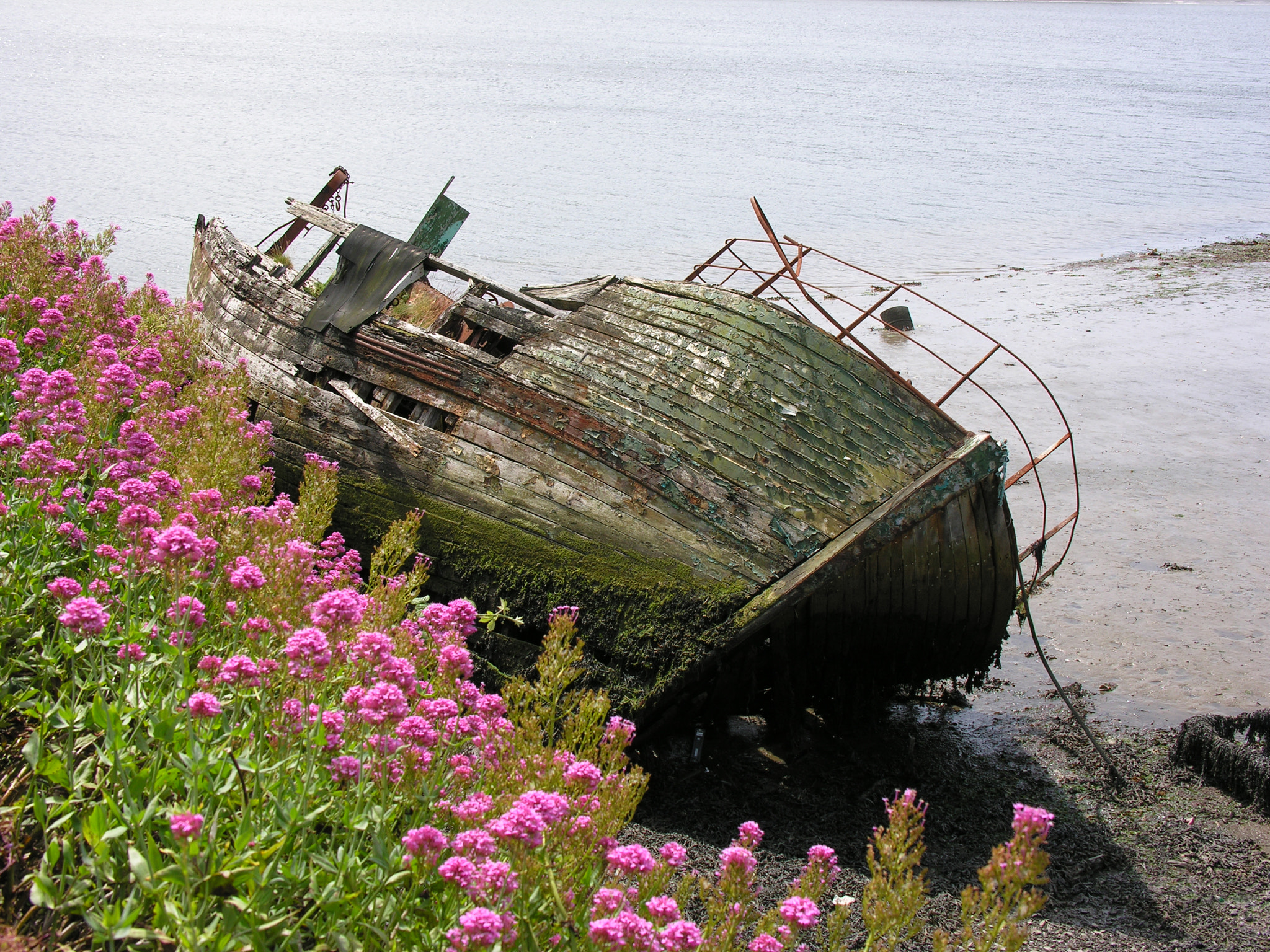Nikon E8800 sample photo. Shipwreck in ireland photography