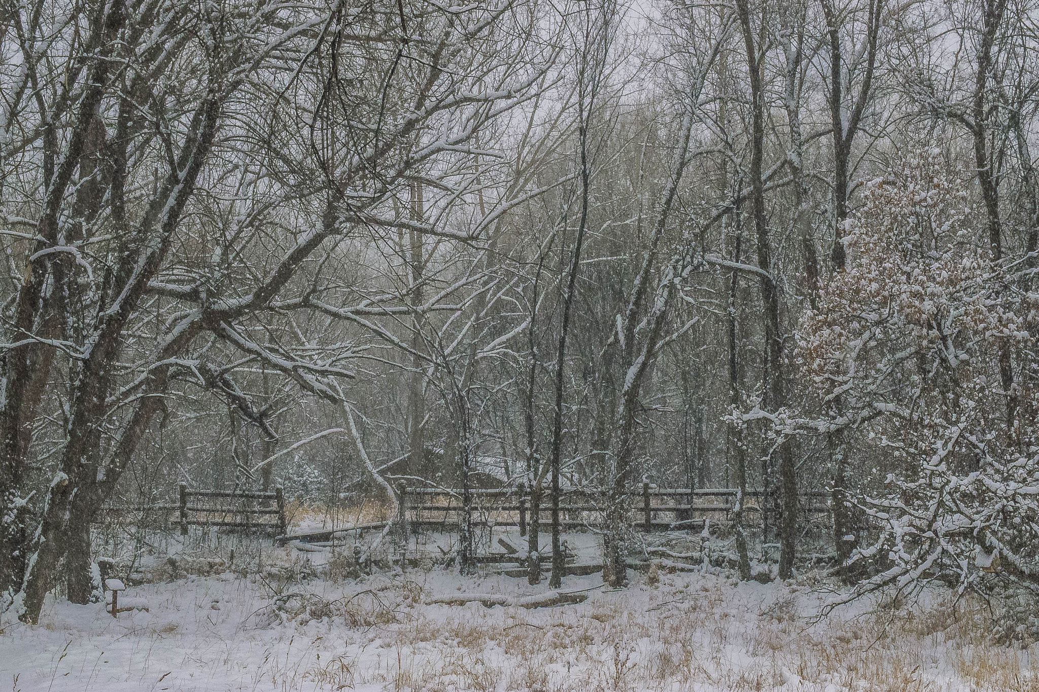 Olympus XZ-1 sample photo. Landscape - winter snow #1 photography