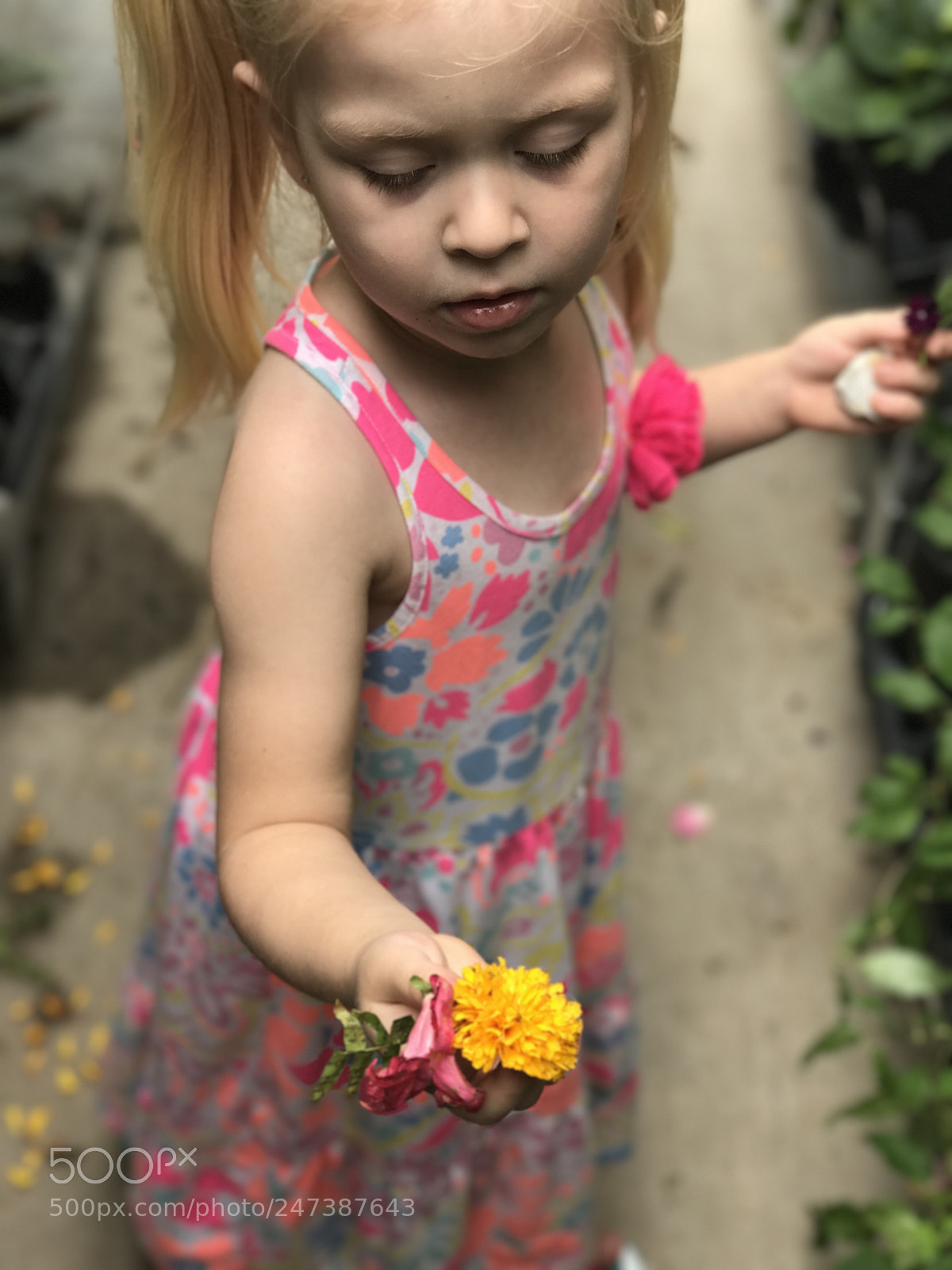 Apple iPhone 7 Plus sample photo. Untitled photography