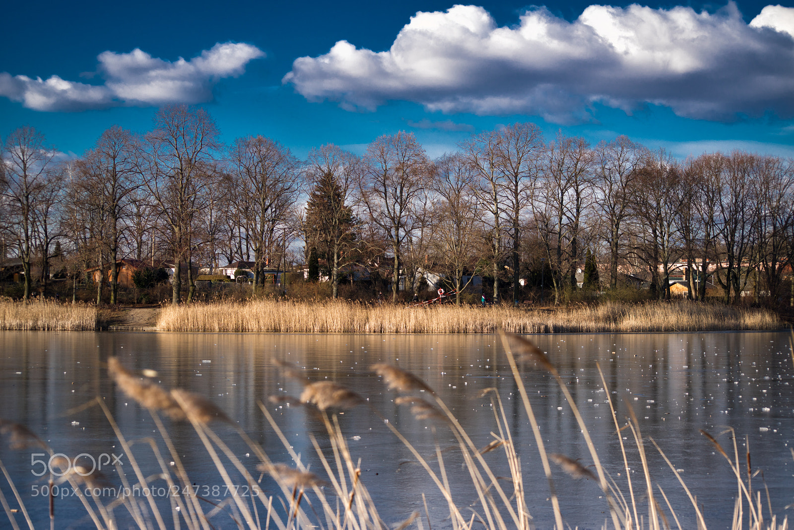 Sony a7R sample photo. Obersee photography