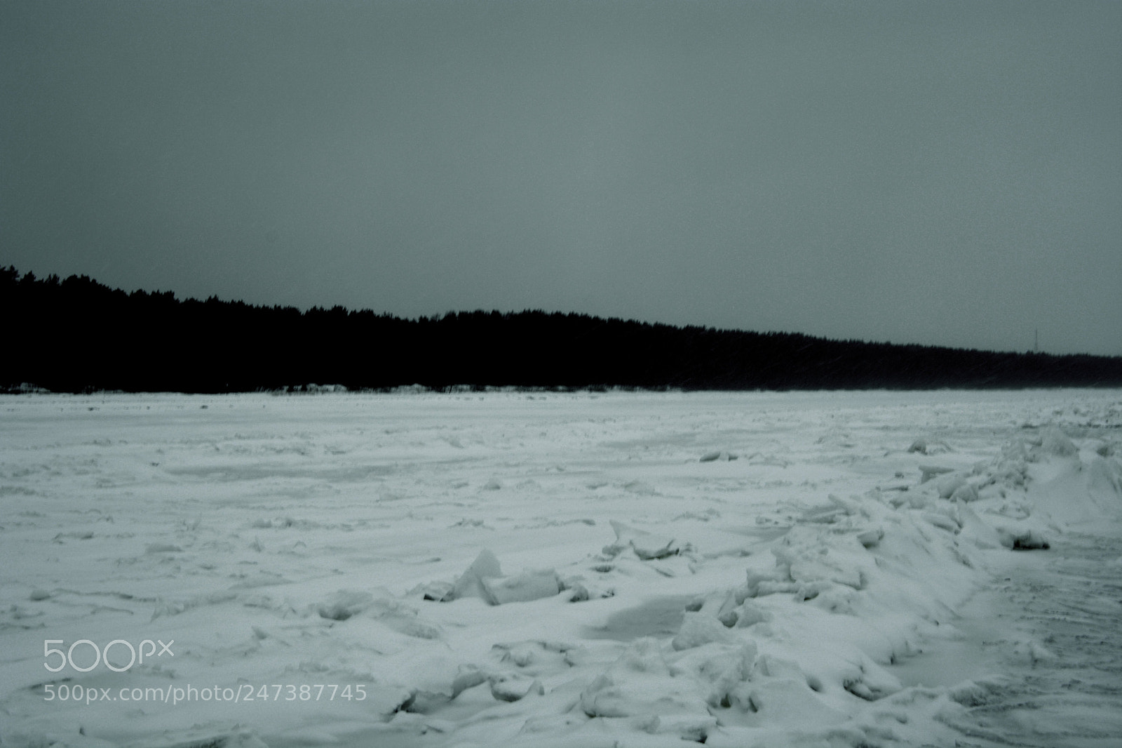 Nikon D5200 sample photo. Winter peace photography