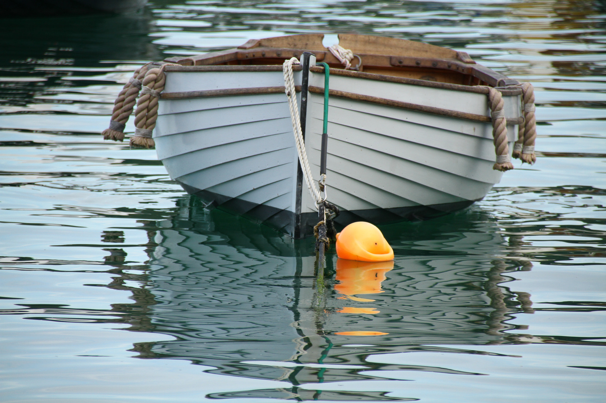 Sigma 18-250mm F3.5-6.3 DC OS HSM sample photo. Floating photography