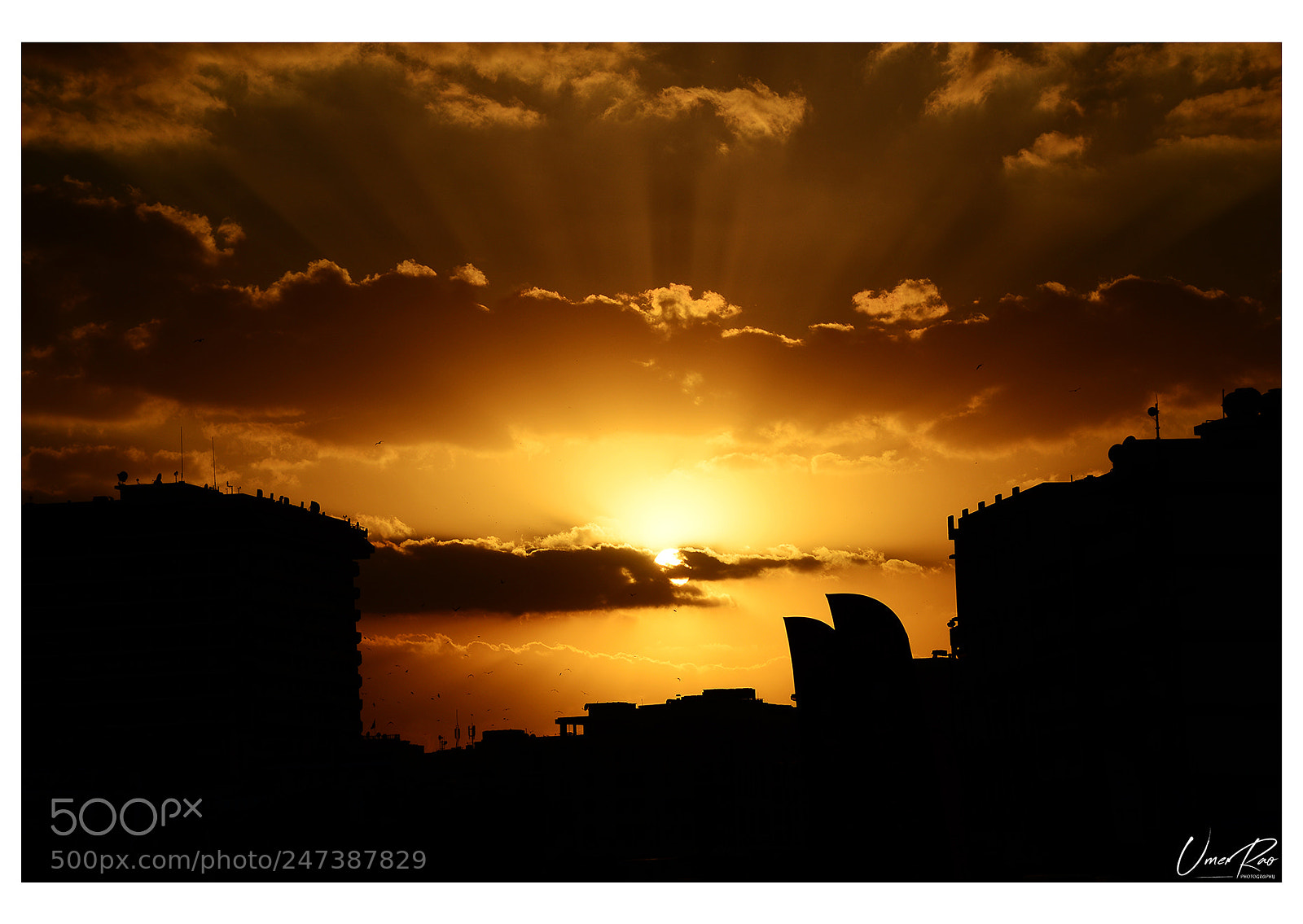 Nikon D610 sample photo. Dubai sunset photography