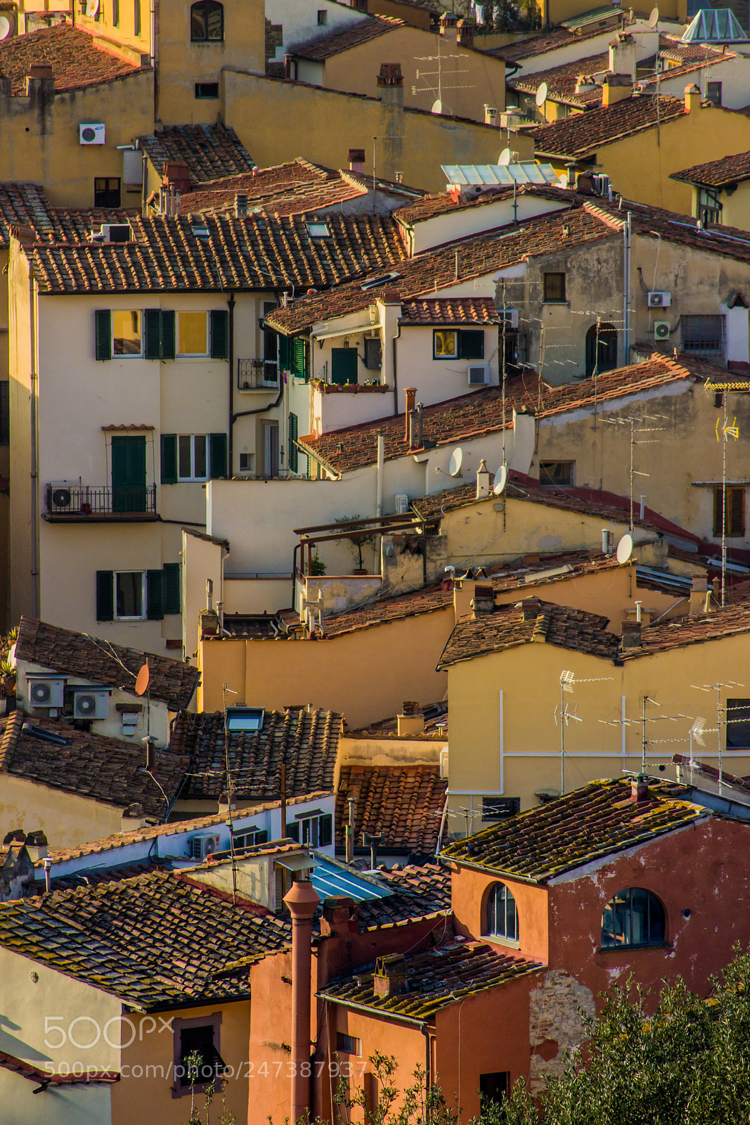 Canon EOS 600D (Rebel EOS T3i / EOS Kiss X5) sample photo. Above florence photography