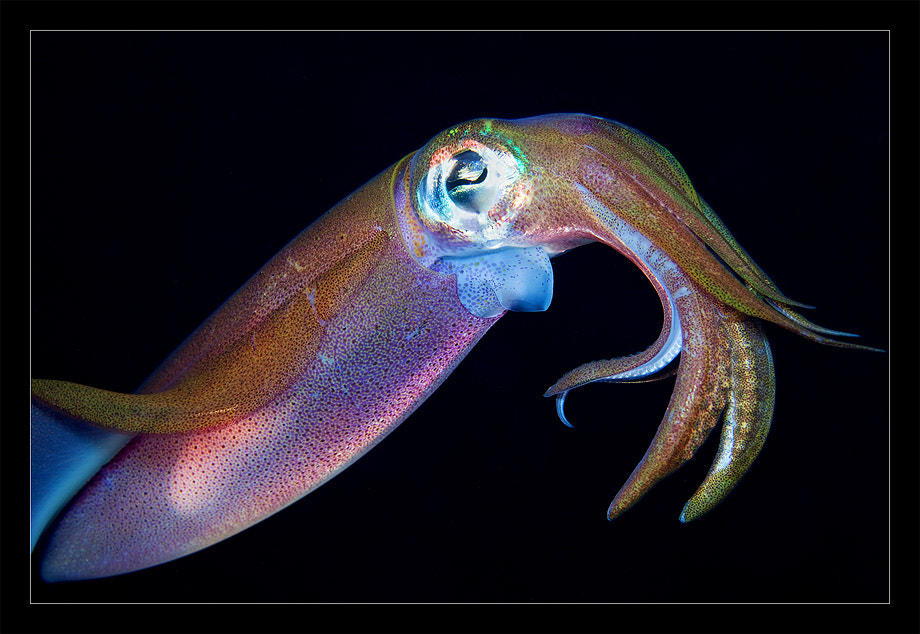 v2?sig=92b660373d6b01ecbf2d74ee68f01d4c0a532f2b668dc1643bfba102163dd4b8