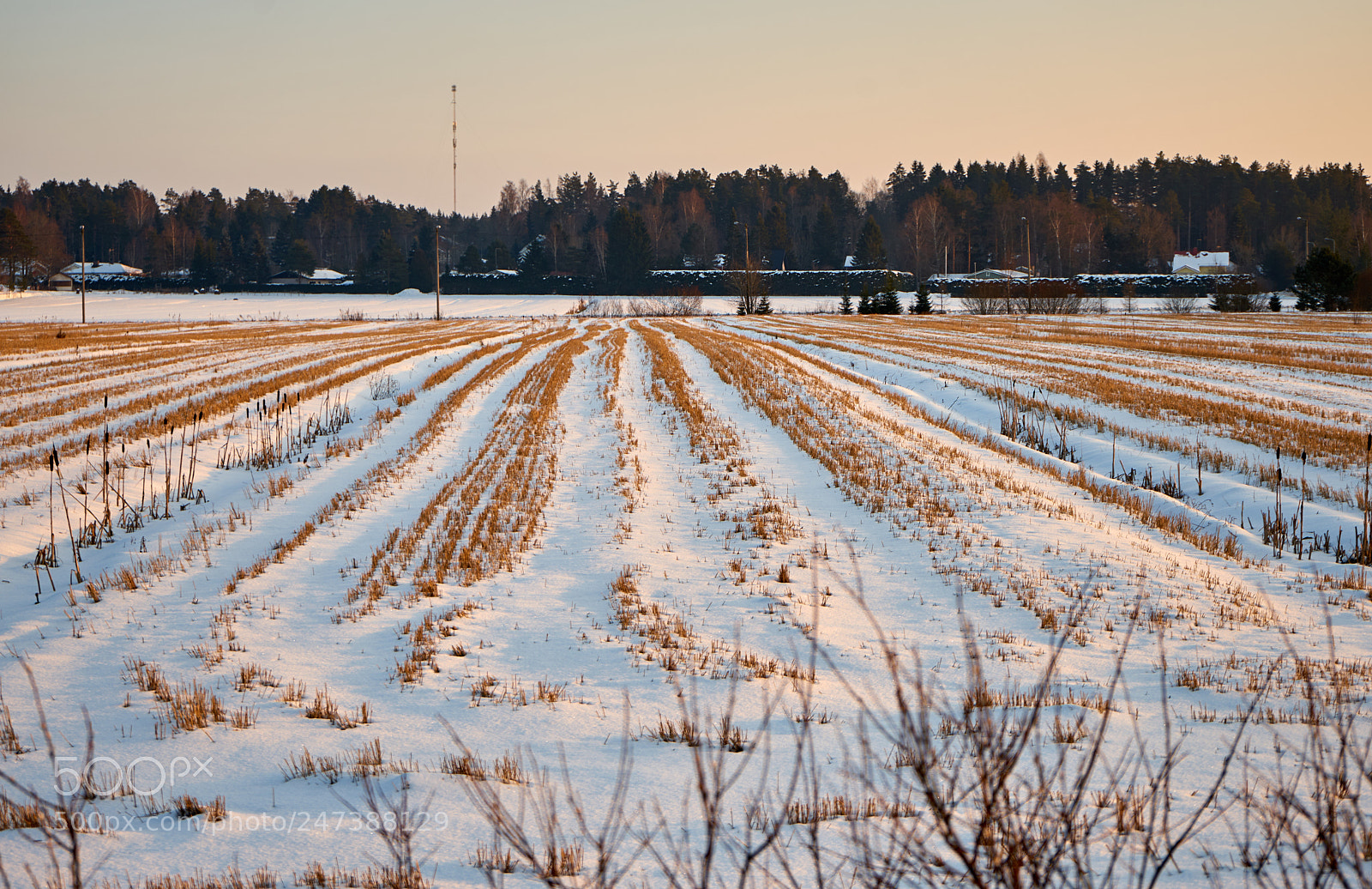 Sony a7 sample photo. Winter outside the city. photography