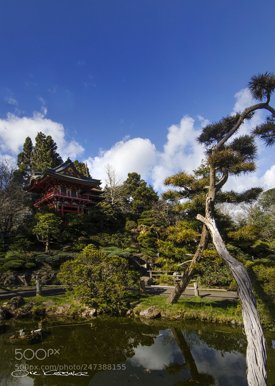 Nikon D5100 sample photo. Peaceful......... photography