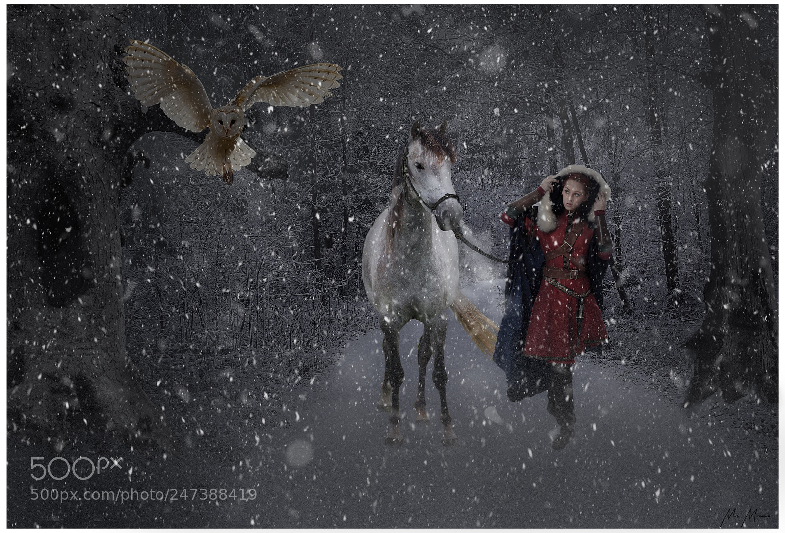 Sony Cyber-shot DSC-HX400V sample photo. Snowstorm travellers... photography