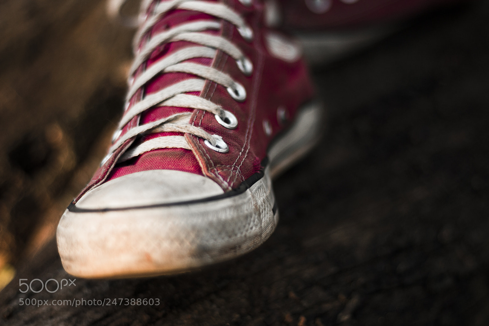 Canon EOS 700D (EOS Rebel T5i / EOS Kiss X7i) sample photo. Path marks photography