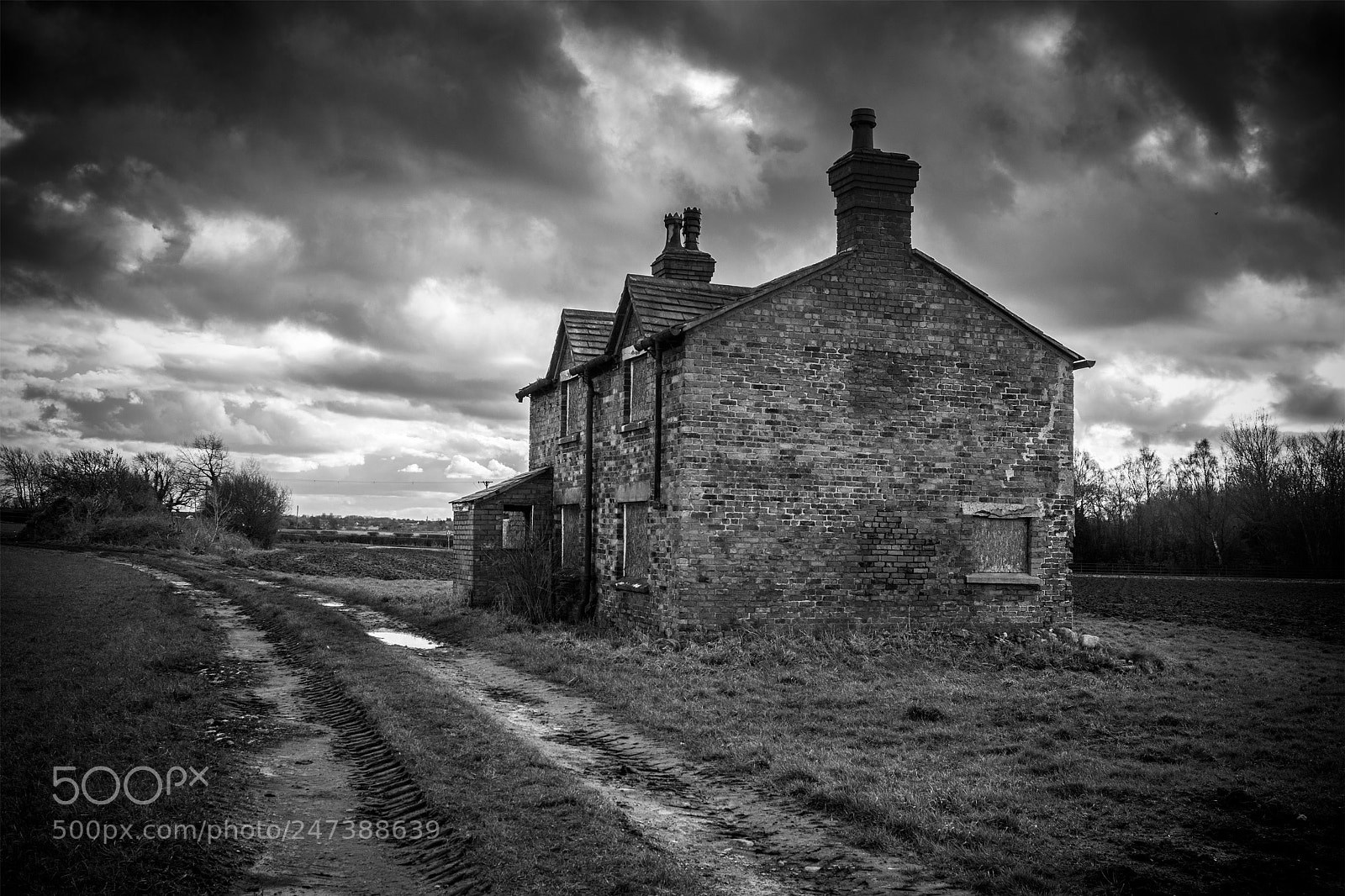 Nikon D7200 sample photo. Rose cottage photography