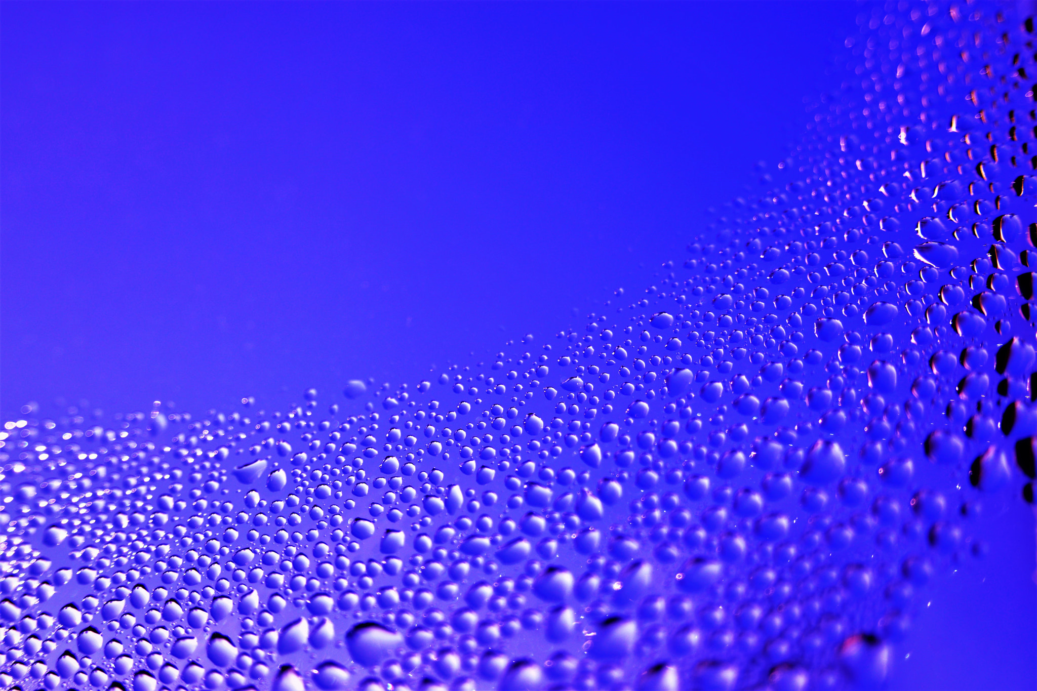 Nikon D5600 sample photo. Droplets photography