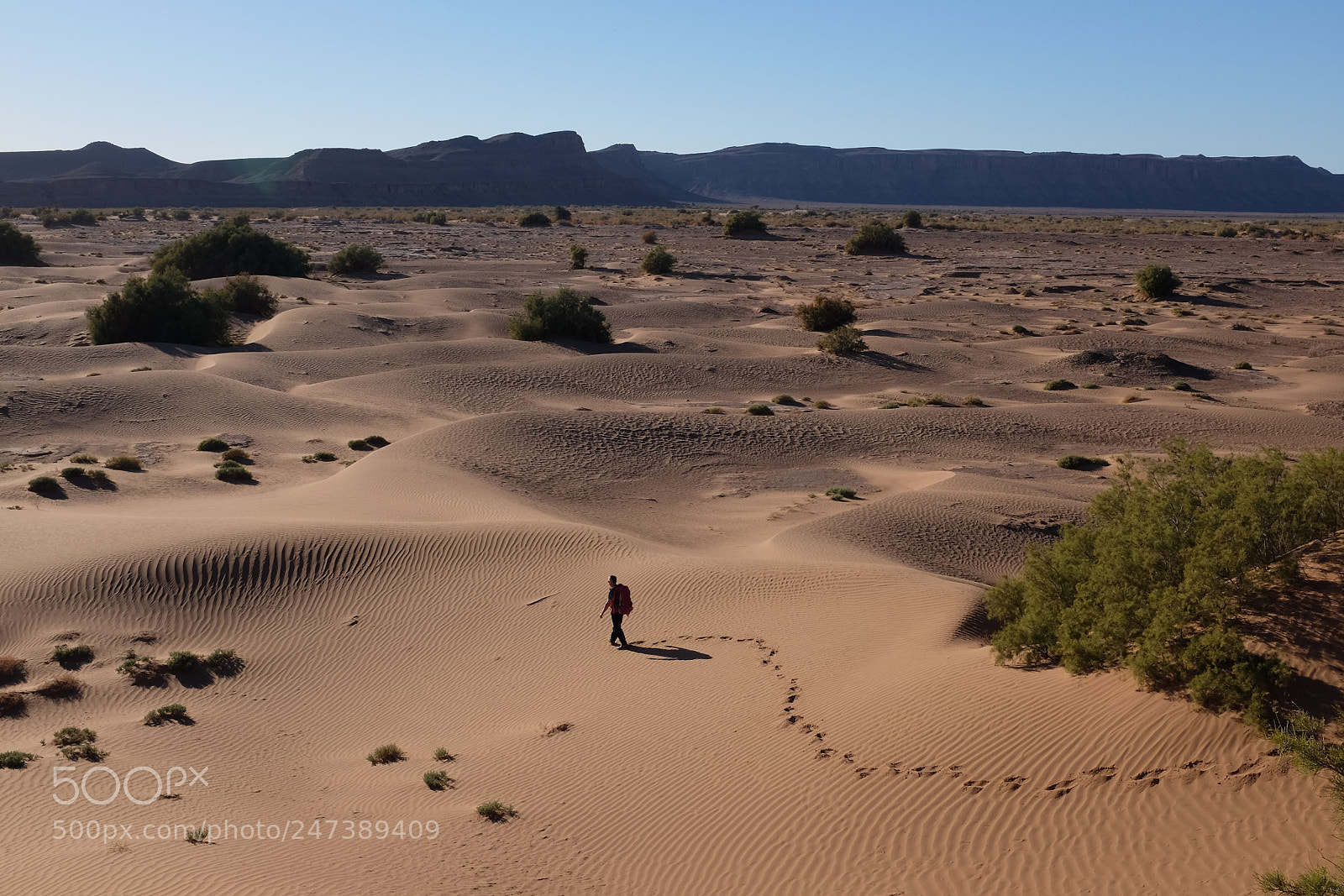 Fujifilm X100S sample photo. Marche dans le sable photography