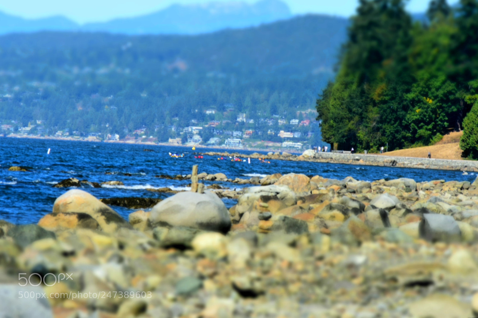 Nikon D7200 sample photo. Untitled photography