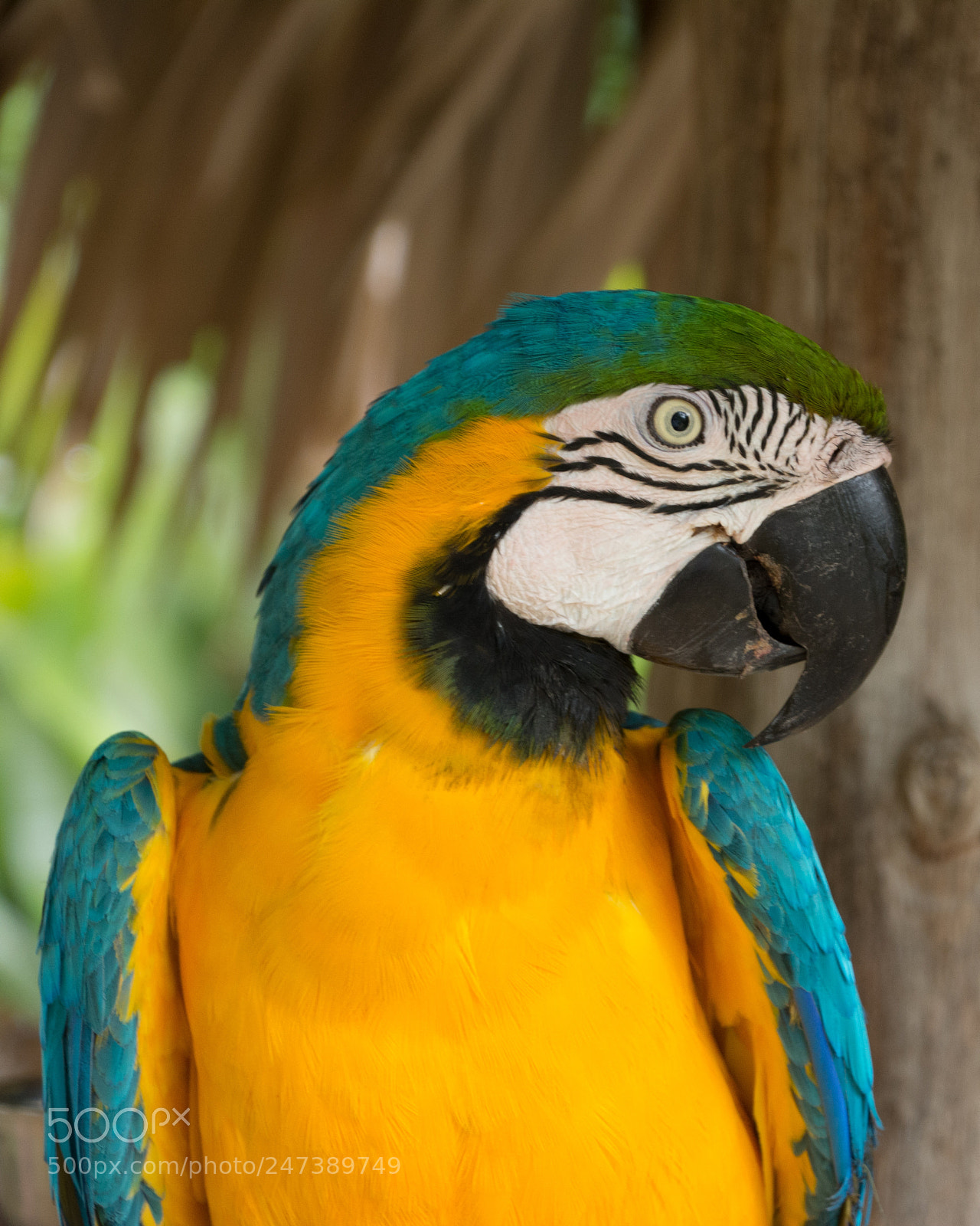 Nikon D7100 sample photo. _ces2076-2.jpg photography