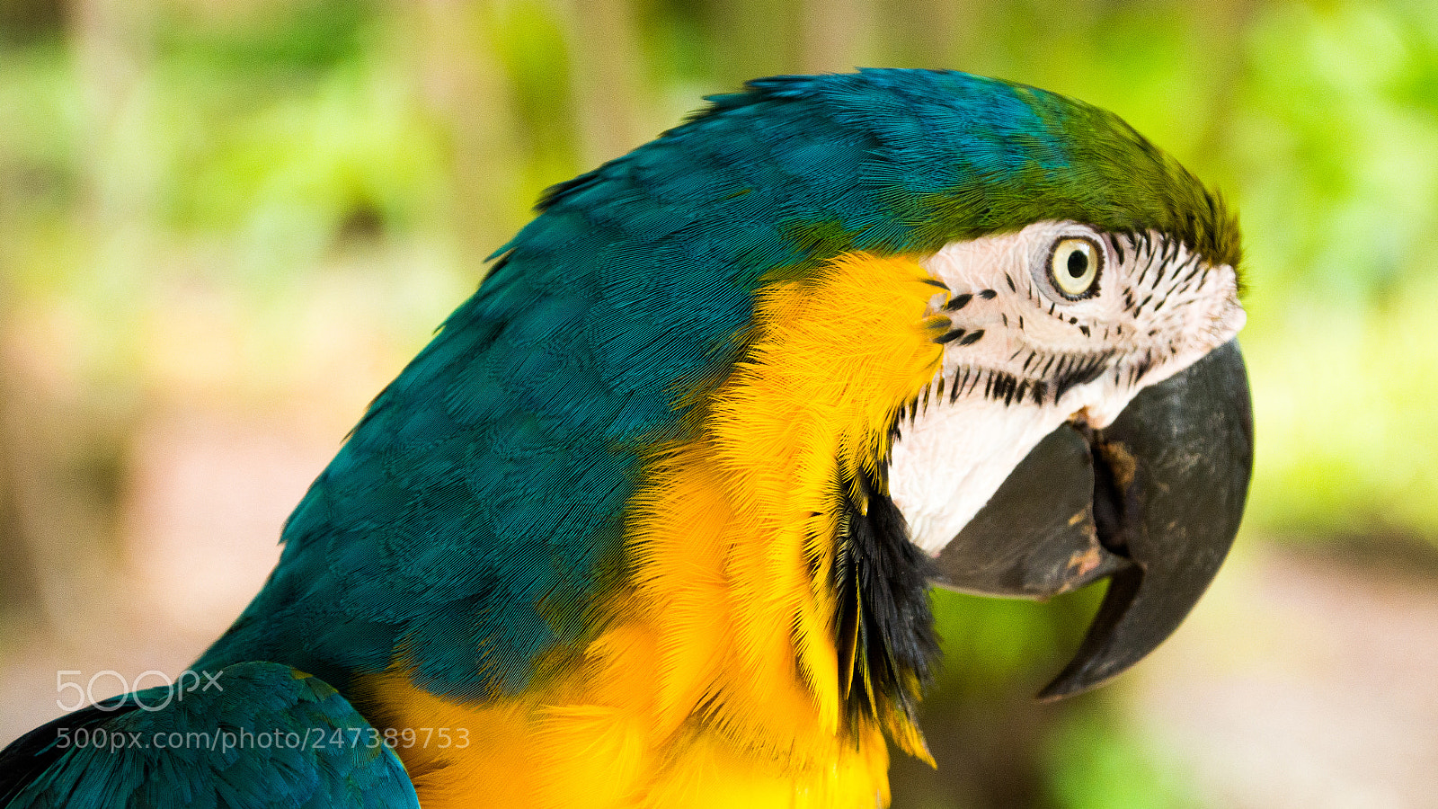 Nikon D7100 sample photo. _ces2080-2.jpg photography