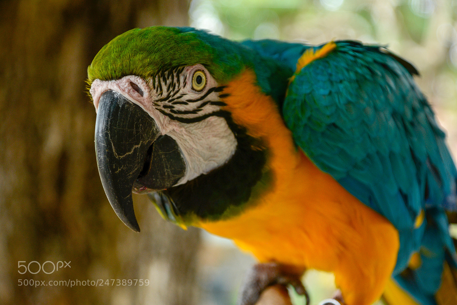 Nikon D7100 sample photo. _ces2098-2.jpg photography