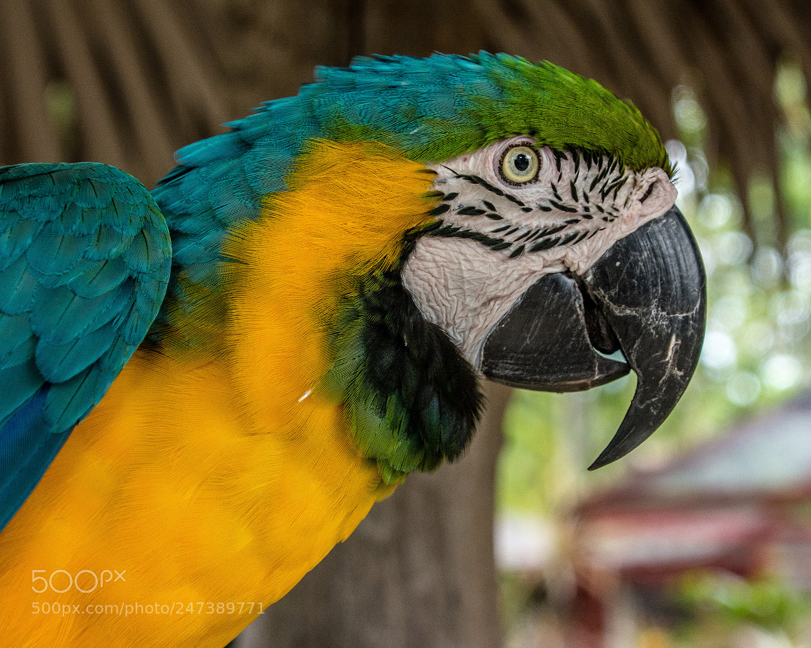 Nikon D7100 sample photo. _ces2110-2.jpg photography