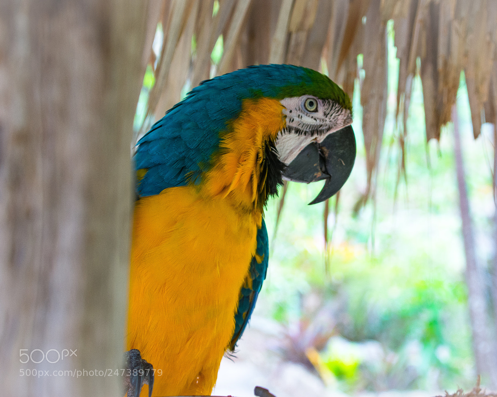 Nikon D7100 sample photo. _ces2164-2.jpg photography