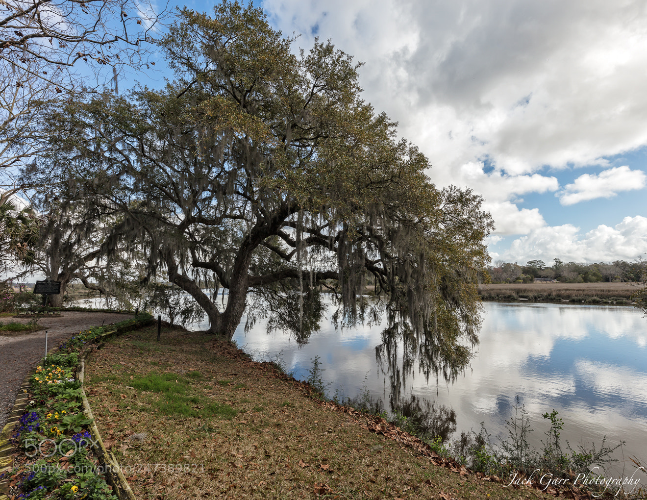 Canon EOS 5DS sample photo. Ashley river photography