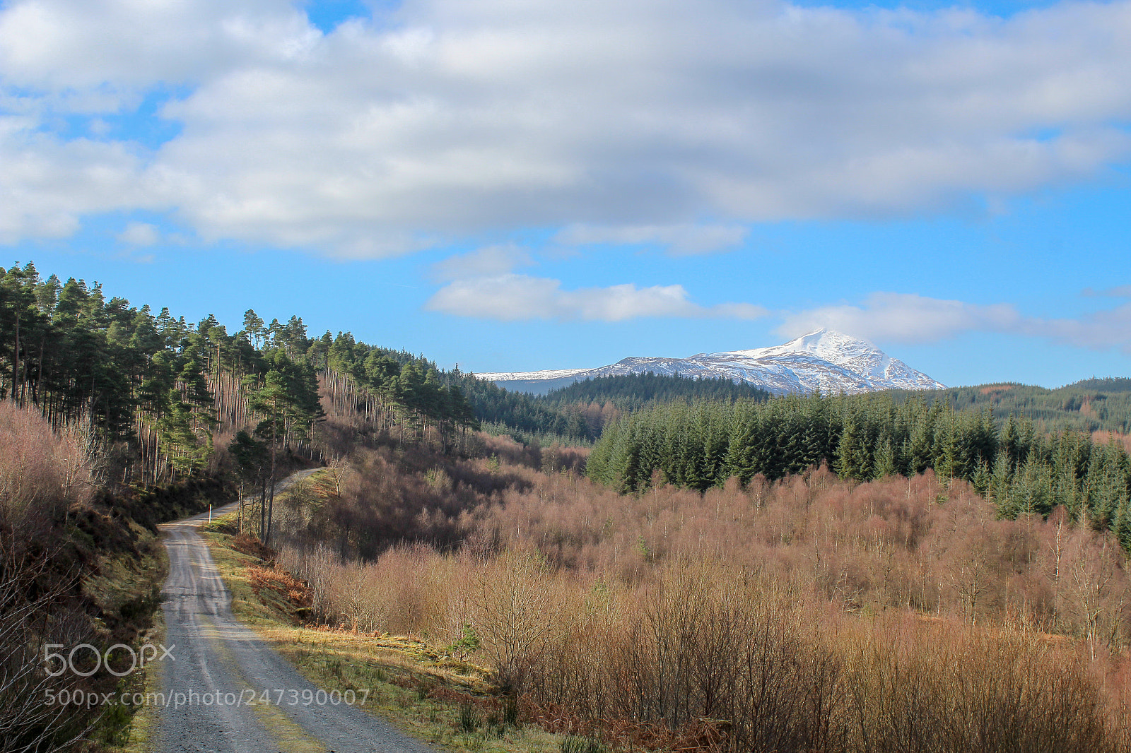 Canon EOS 1300D (EOS Rebel T6 / EOS Kiss X80) sample photo. Ben lomond photography