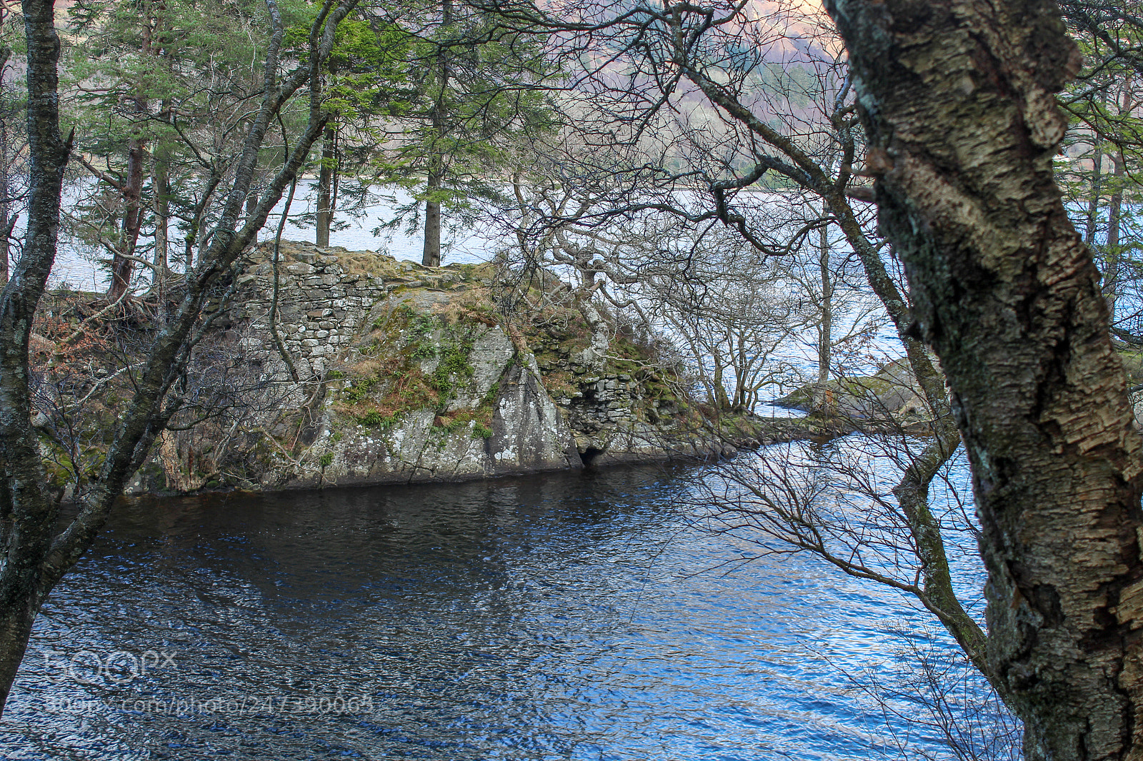 Canon EOS 1300D (EOS Rebel T6 / EOS Kiss X80) sample photo. Remains of duke murdoch's photography
