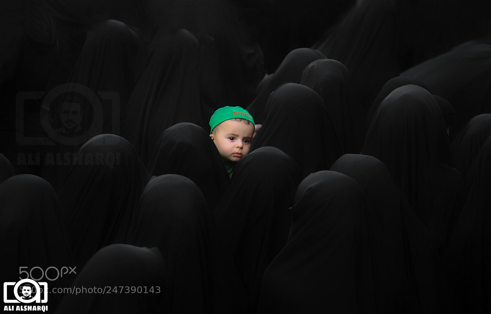 Canon EOS-1D Mark III sample photo. Untitled photography