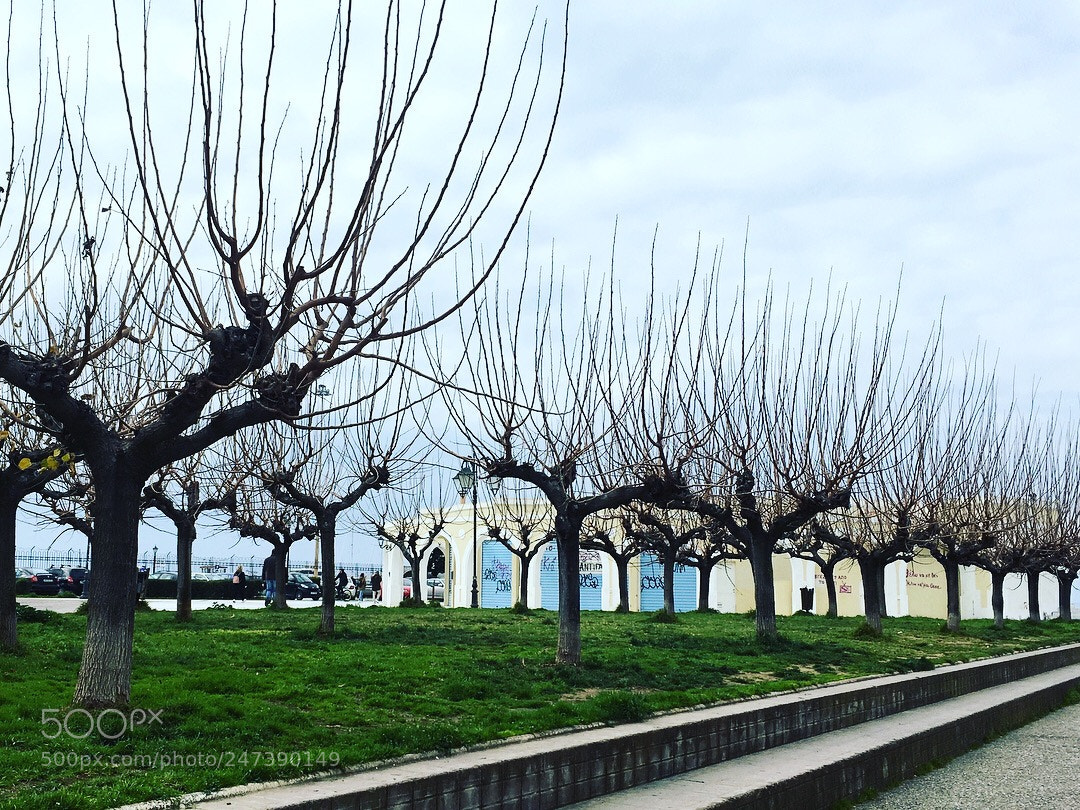 Apple iPhone SE sample photo. Taken at patra,greece photography