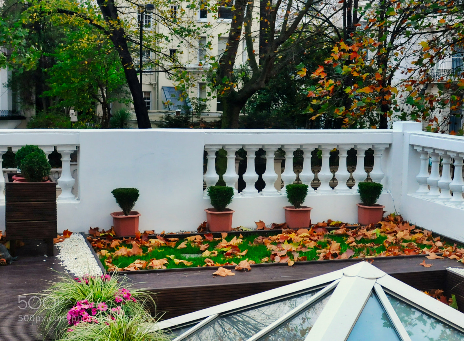 Nikon D300 sample photo. Autumn leaves on a photography