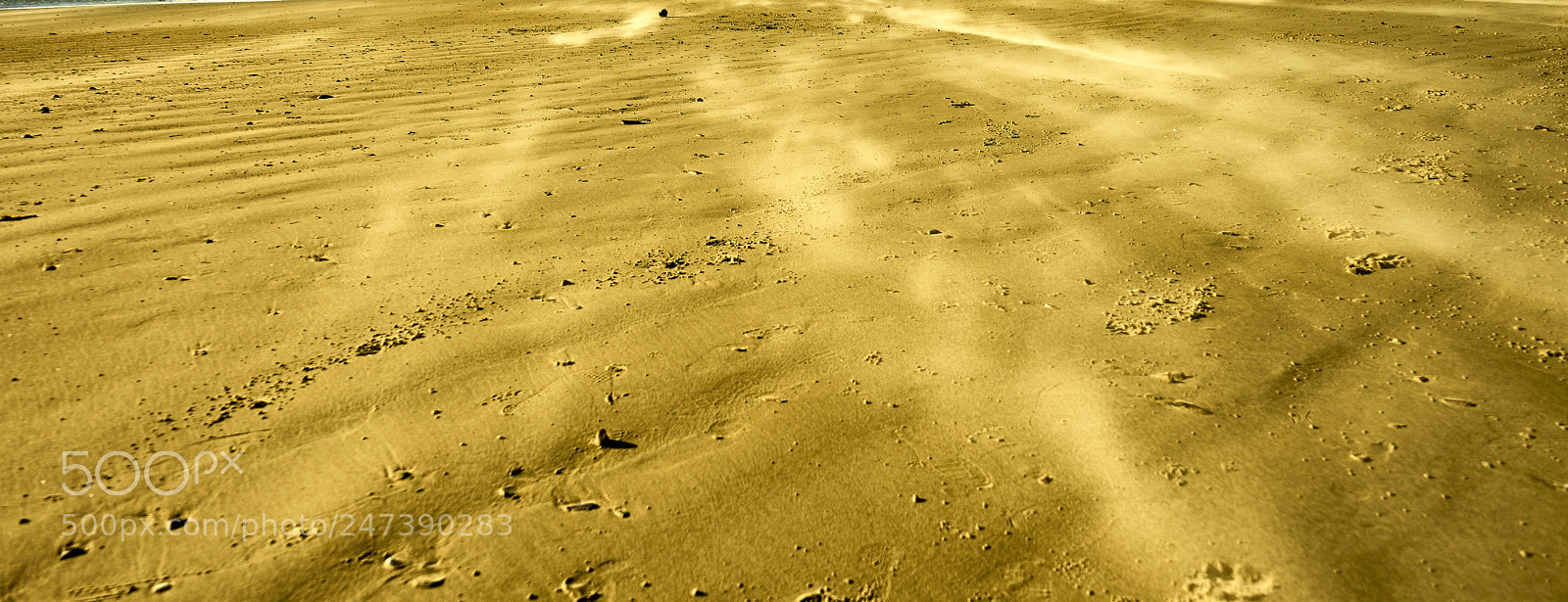 Sony a7 II sample photo. Is this mars on photography