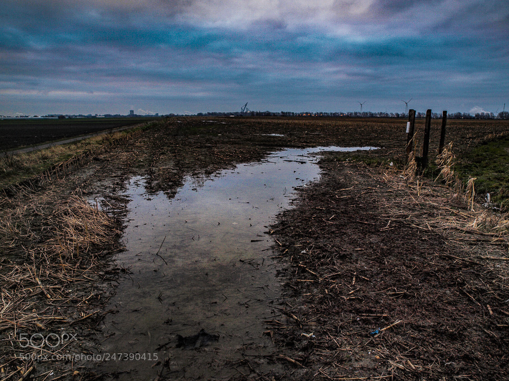 Olympus E-520 (EVOLT E-520) sample photo. Polder de haak photography